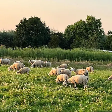 Chalé Amsterdam The Stables