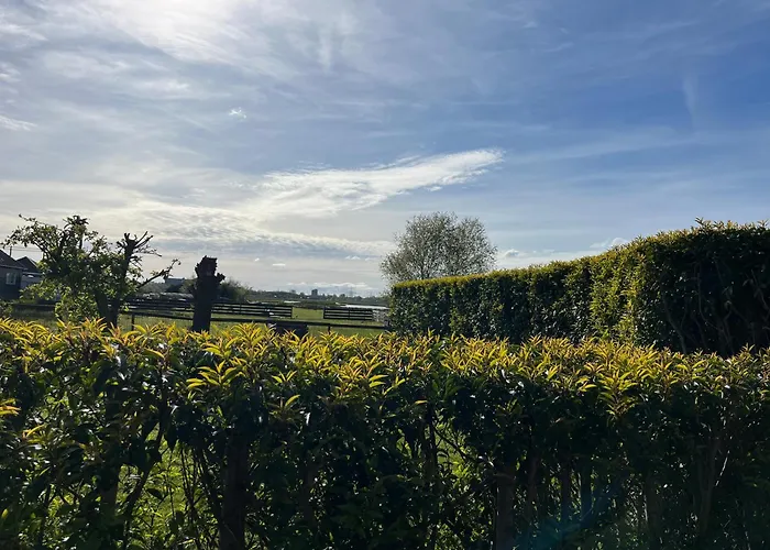 Amsterdam The Stables *