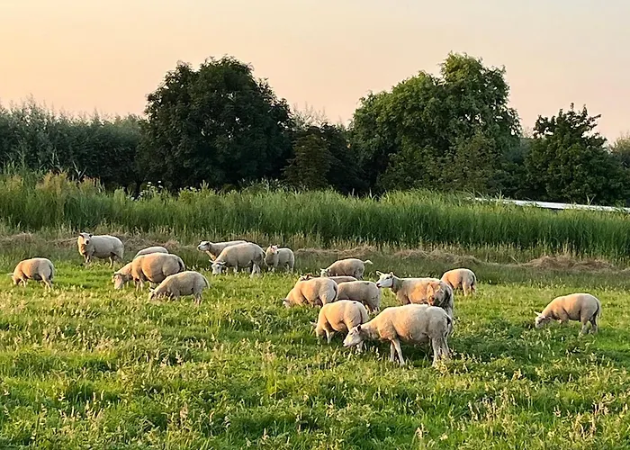 Alpstuga Amsterdam The Stables