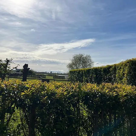 Amsterdam The Stables *